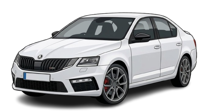 White Skoda Octavia 2020 — Economy Sedan