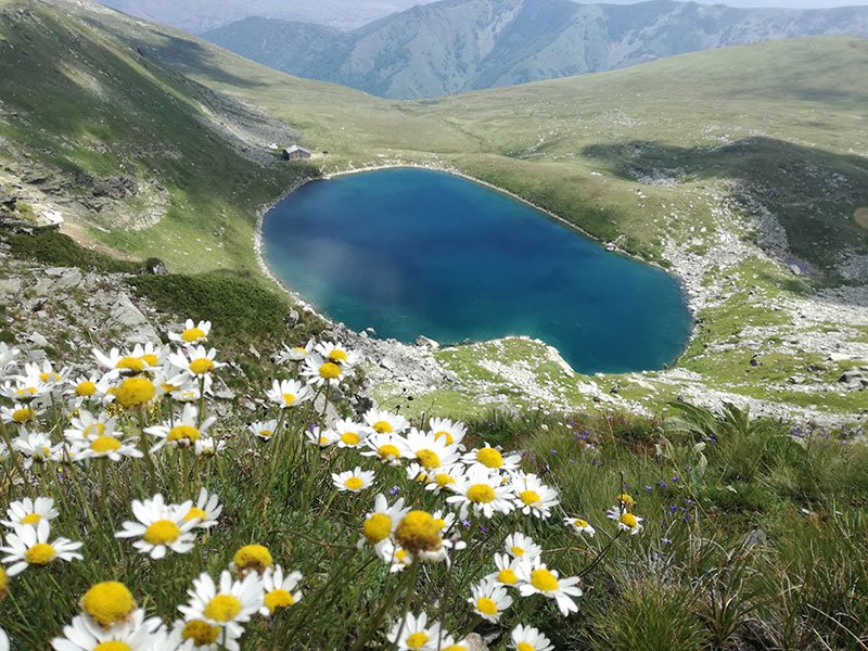 Mountain landscape of Pelister National Park above Bitola