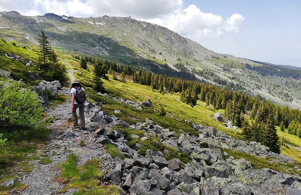 View of Vitosha Mountain rising above Sofia, Bulgaria